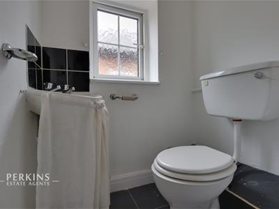Picture 7